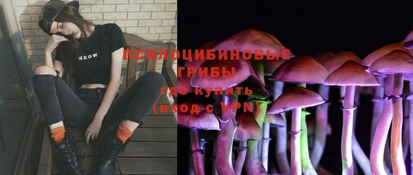 прущий лед Белокуриха