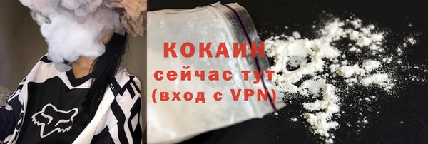 шишки Белоозёрский