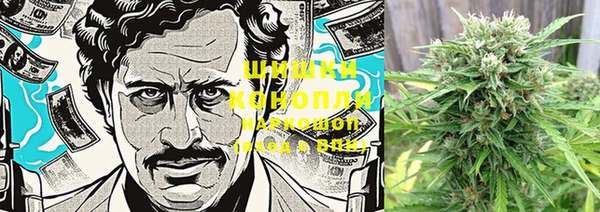 шишки Белоозёрский