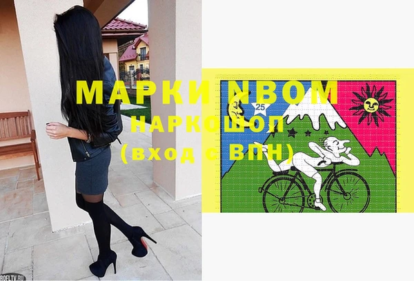 шишки Белоозёрский