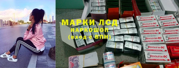 шишки Белоозёрский