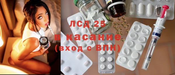 шишки Белоозёрский