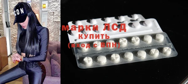 шишки Белоозёрский